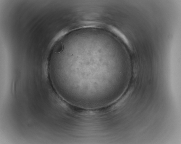 X0000114571411200910191454