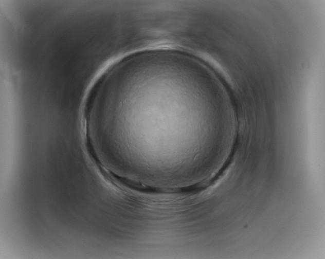 X0000114571414200910191454