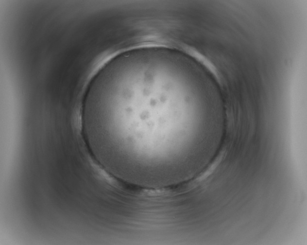 X0000114571415200910191454