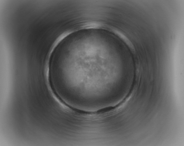 X0000114571418200910191454