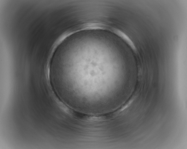 X0000114571419200910191454