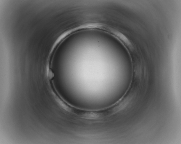 X0000114571420200910191454