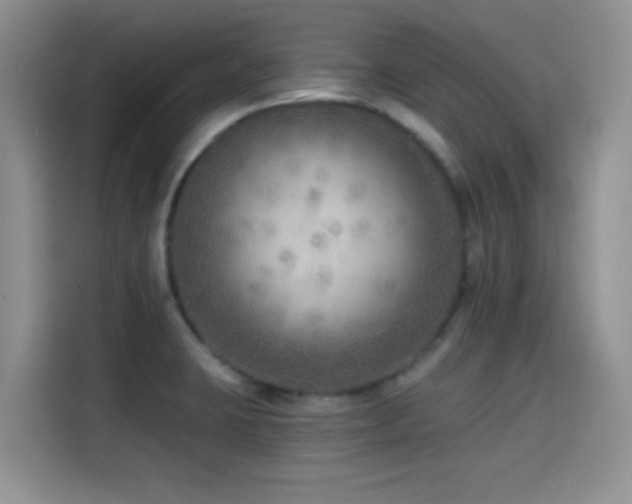 X0000114571423200910191454