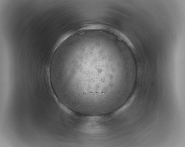 X0000114571425200910191454
