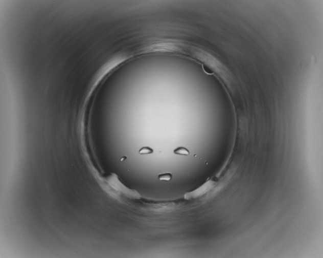X0000114571426200910191454