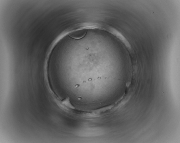X0000114571427200910191454