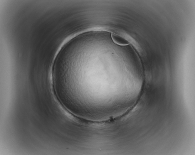 X0000114571428200910191454