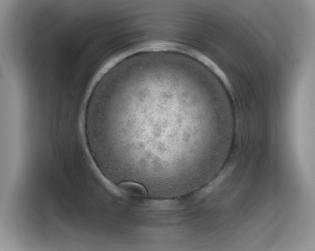 X0000114571429200910191454