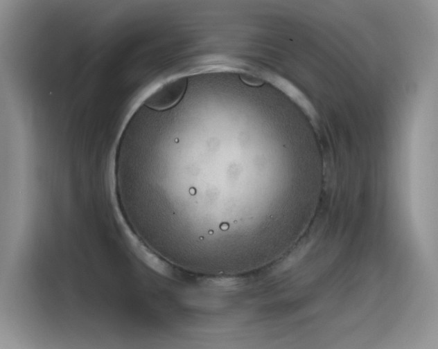 X0000114571431200910191454