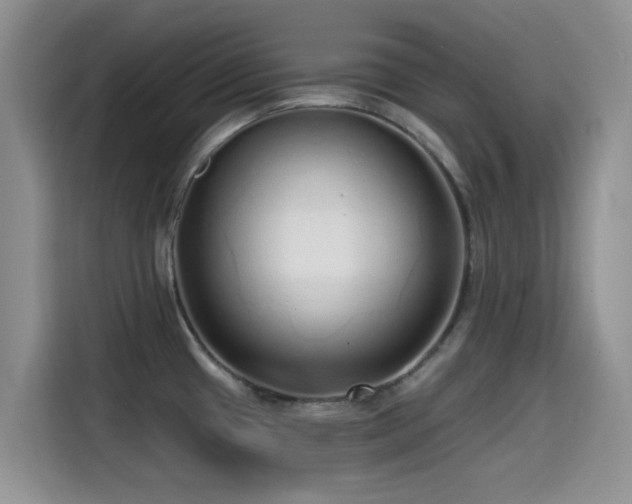 X0000114571433200910191454