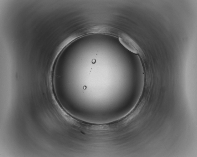X0000114571434200910191454