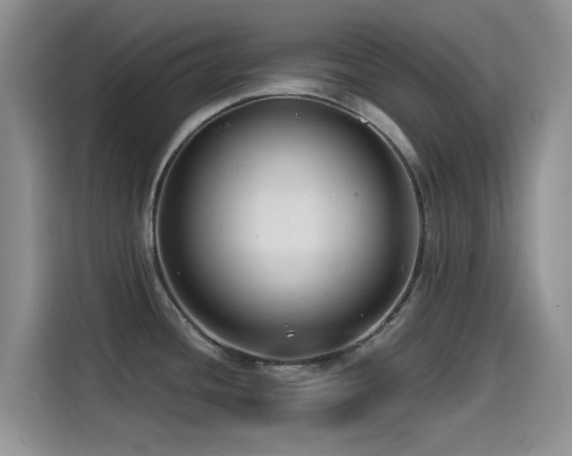 X0000114571436200910191454