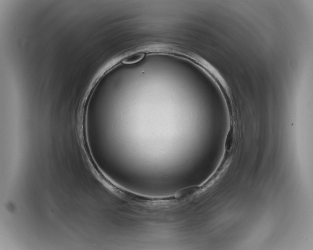X0000114571437200910191454
