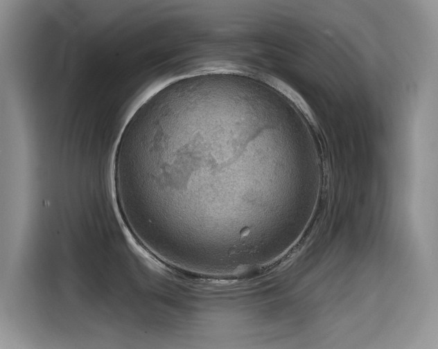 X0000114571439200910191454