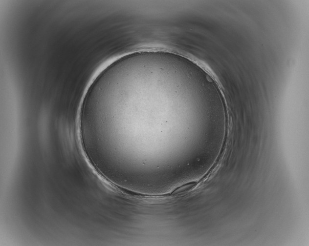 X0000114571440200910191454
