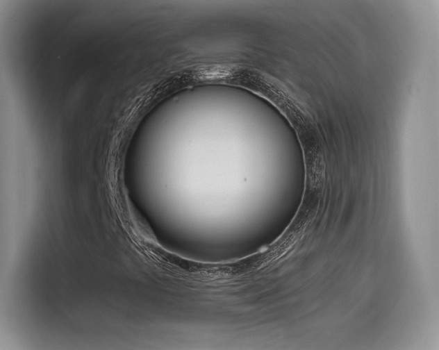 X0000114571441200910191454