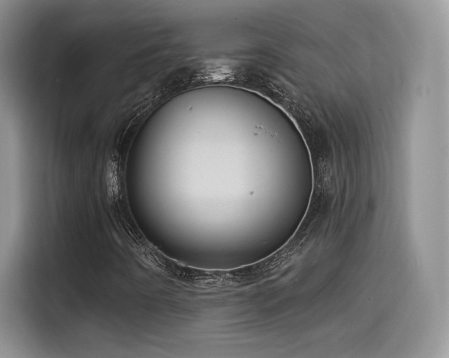 X0000114571442200910191454