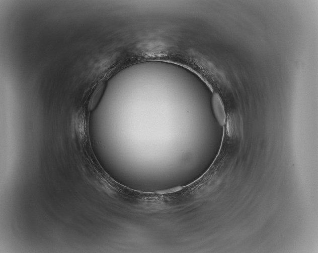 X0000114571444200910191454
