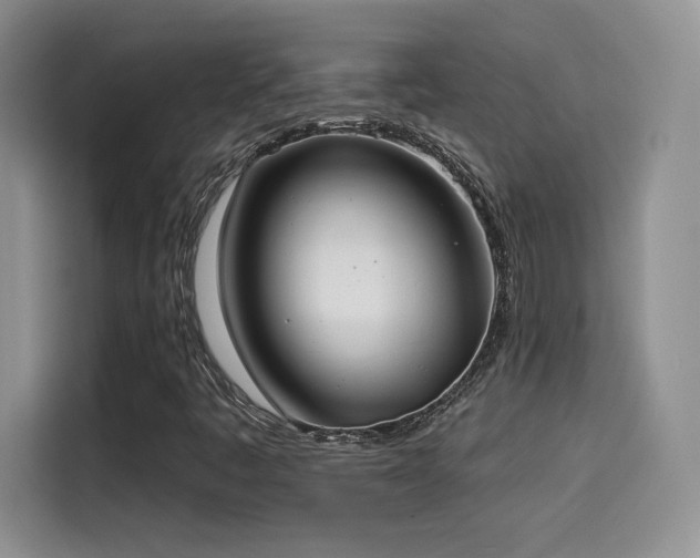 X0000114571445200910191454