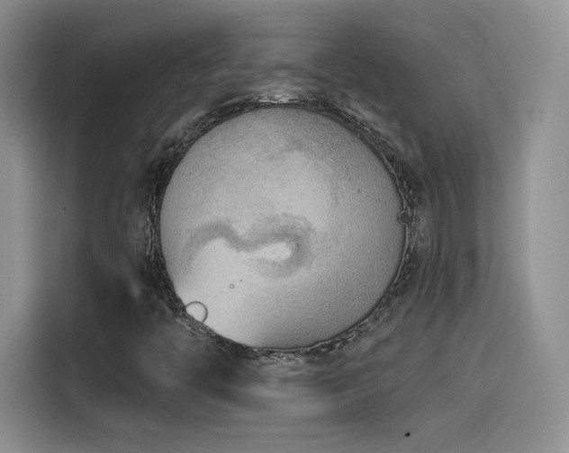 X0000114571446200910191454