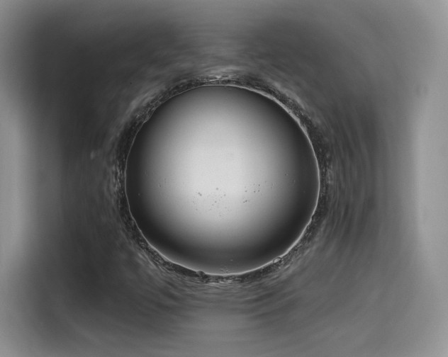 X0000114571447200910191454