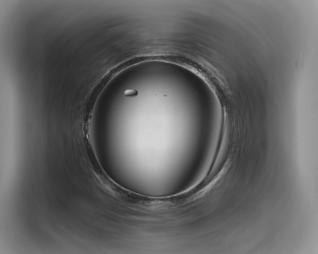 X0000114571449200910191454