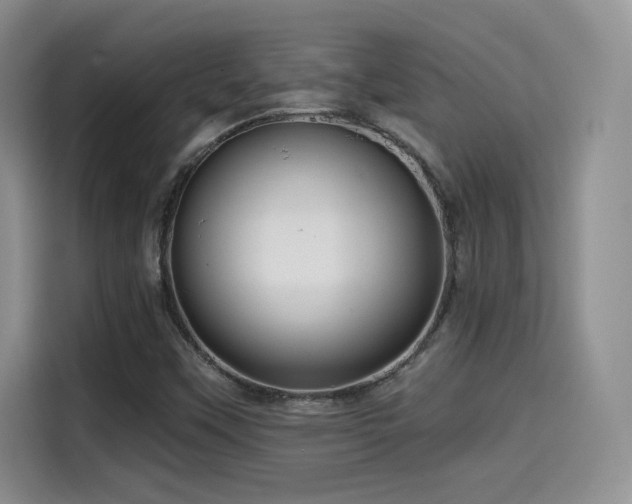 X0000114571451200910191453
