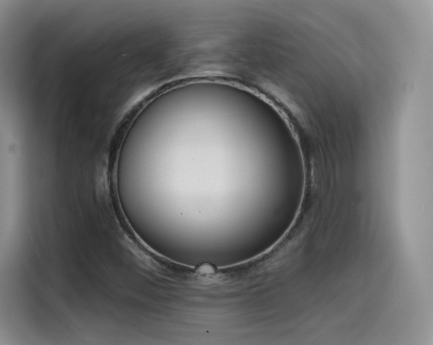 X0000114571452200910191453