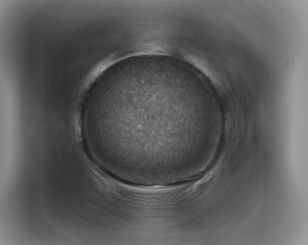 X0000114571455200910191453