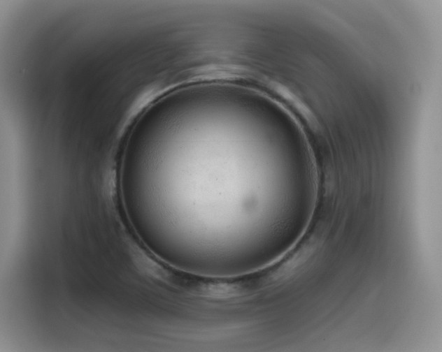 X0000114571459200910191453