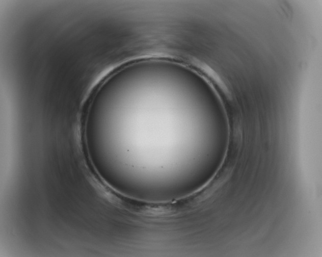 X0000114571460200910191453
