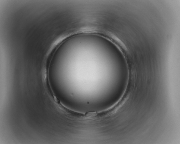X0000114571461200910191453