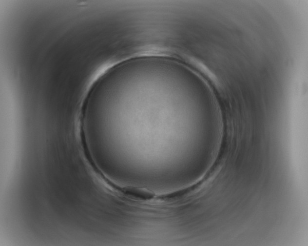 X0000114571463200910191453
