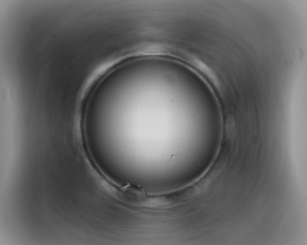X0000114571464200910191453