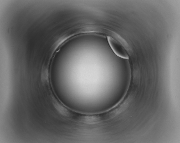 X0000114571465200910191453