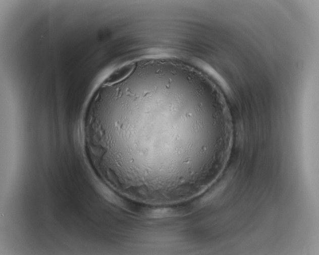 X0000114571467200910191453