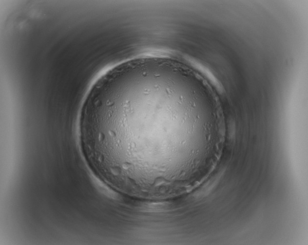 X0000114571471200910191453