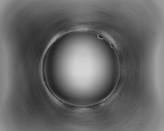 X0000114571475200910191453