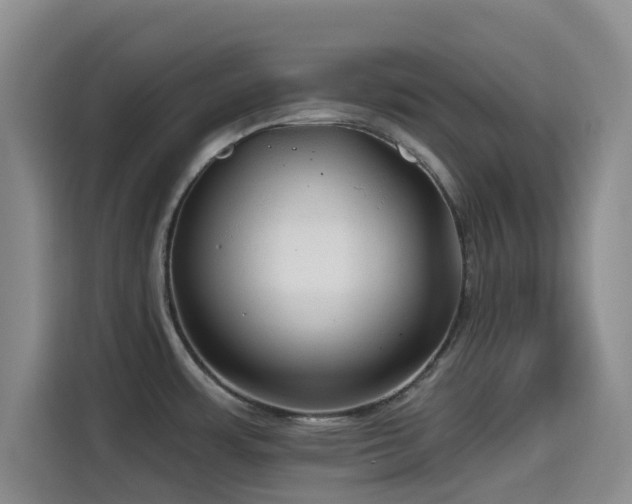 X0000114571483200910191453