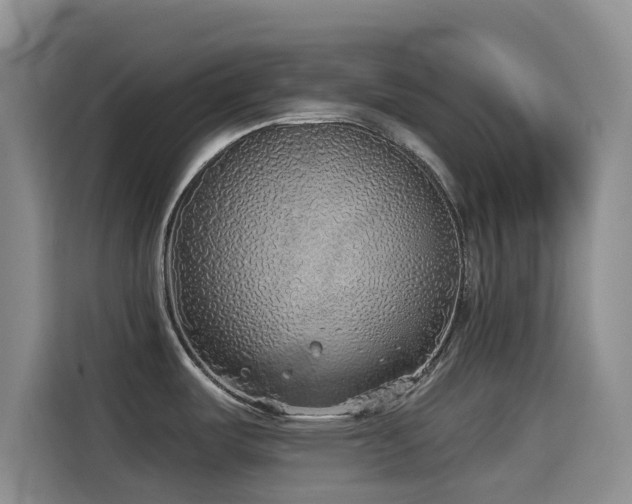 X0000114571487200910191453