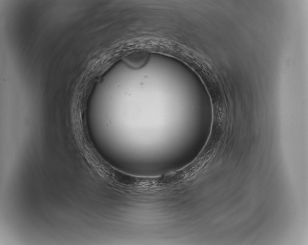 X0000114571489200910191452