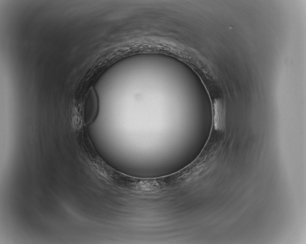 X0000114571491200910191452
