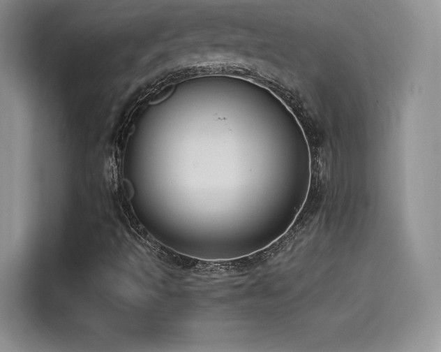 X0000114571493200910191452