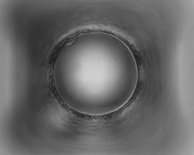 X0000114571494200910191452