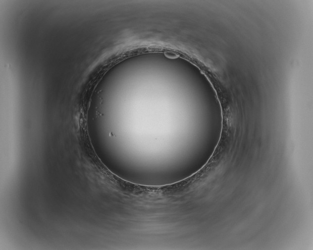 X0000114571495200910191452