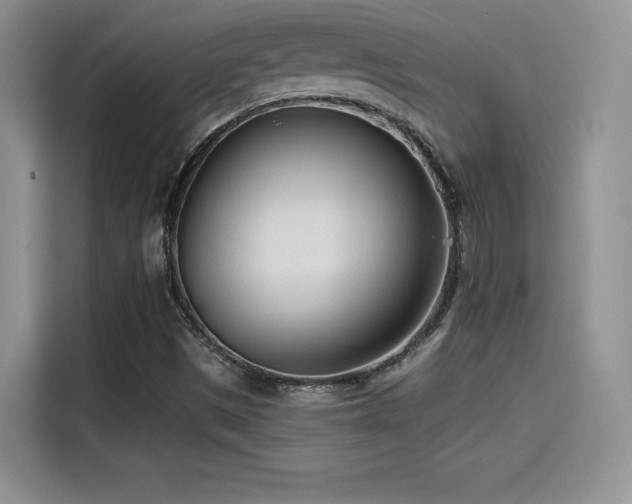 X0000114571497200910191452