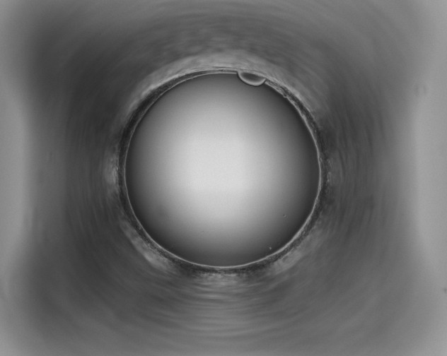 X0000114571499200910191453