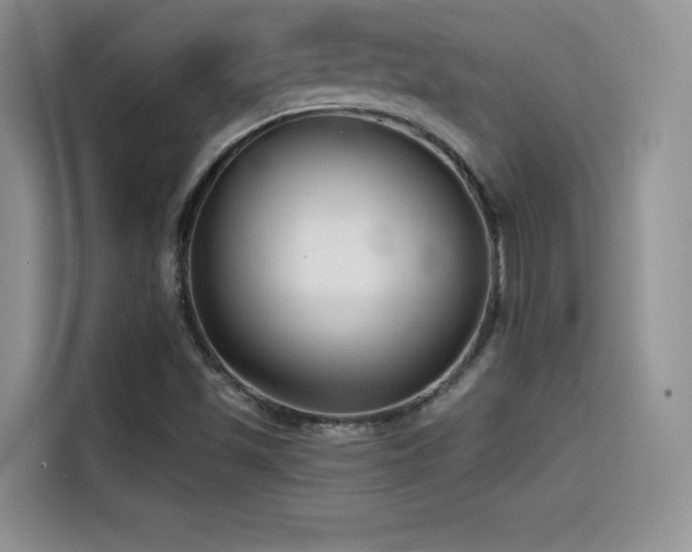 X0000114571501200910191453