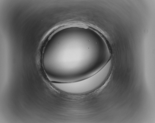 X0000114571502200910191453