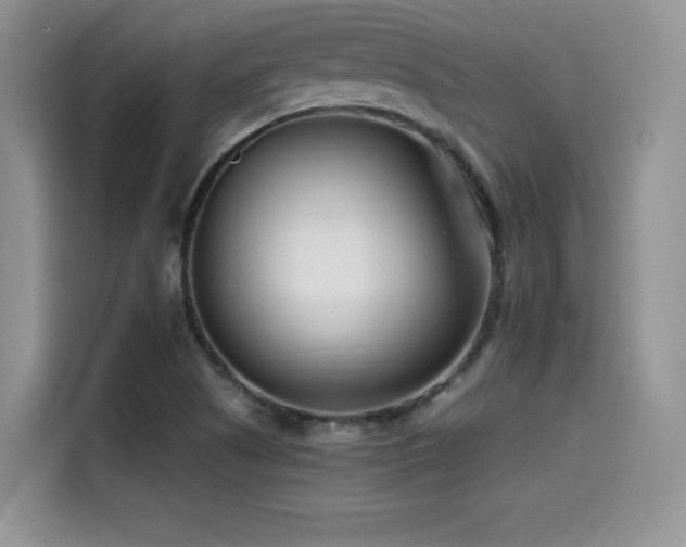 X0000114571505200910191453